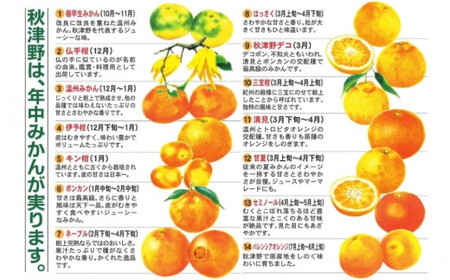 橙ポン酢360ml×3本入り / 和歌山 和歌山県産 田辺市 みかん ポンカン だいだい 柑橘 ポン酢 ぽん酢 酢 調味料 鍋【ktr008-2】