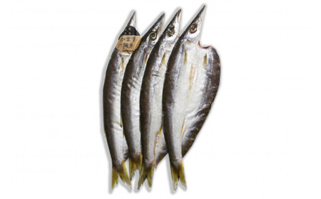 かます開き3～4尾 / カマス 国産 干物 白身 冷凍 新鮮 魚 お取り寄せ 和歌山県 田辺市 【mst018】