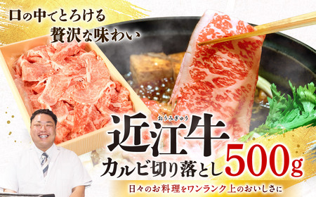近江牛 カルビ 切り落とし 500g 株式会社びわこフード 滋賀県 東近江市 A-F08 近江牛 焼肉 すき焼き 牛丼 肉じゃが 500g A4 A5 霜降り 和牛 高級 国産 ブランド牛