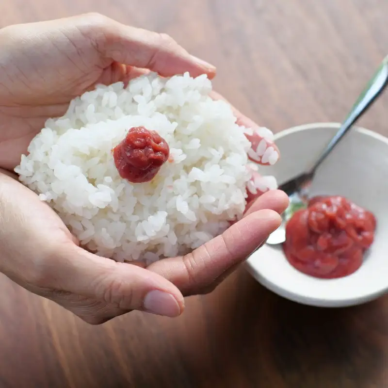 紀州南高梅 ねり梅セット （500g×3本） / 紀州南高梅 南高梅 梅干し 梅干 梅 うめ 和歌山 田辺市 肉厚 お米 梅肉 しそ しそ風味 練り梅 練梅【nkn007-2】