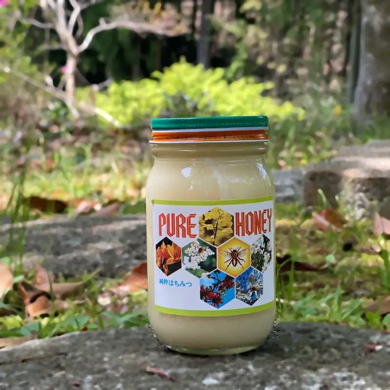 PURE HONEY 純粋はちみつ　600g  / 田辺市 はちみつ ハチミツ 蜂蜜  無添加 国産【nts006-1】