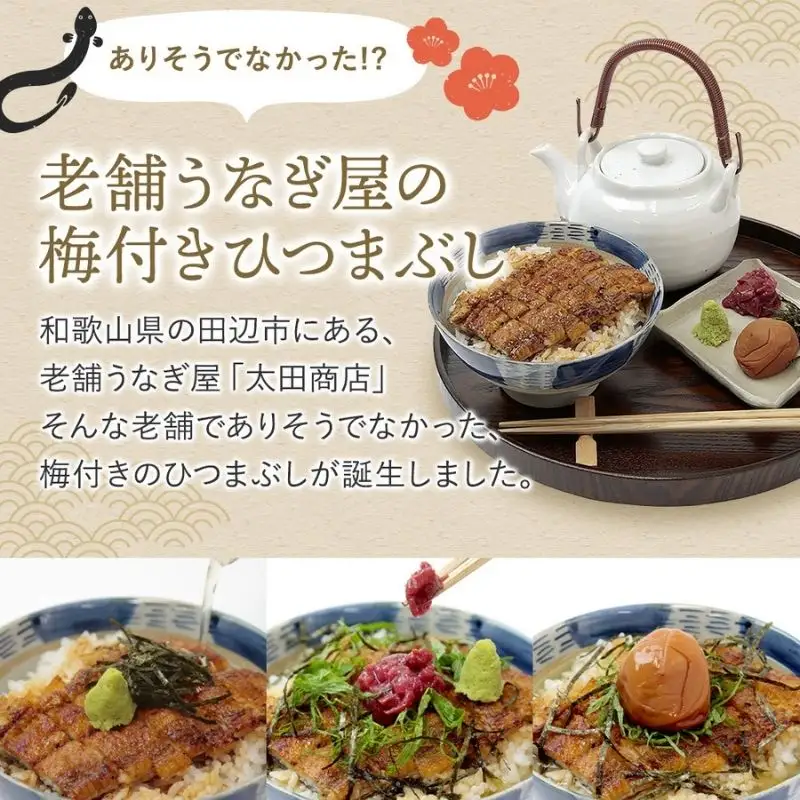 紀州南高梅ひつまぶし 1食 《うなぎ》/ 和歌山 田辺市 国産 国産鰻 鰻 うなぎ ひつまぶし 梅ひつまぶし 紀州南高梅 南高梅 梅干し 梅 土用の丑の日 冷凍【ots006】