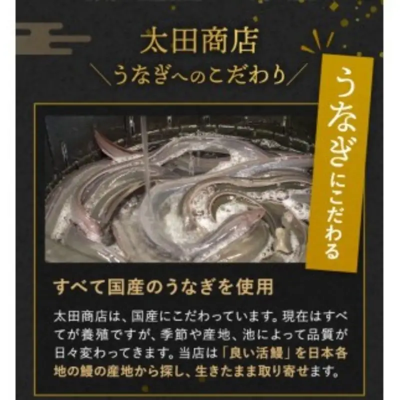 うなぎ 蒲焼 ２本 国産 【ots016】