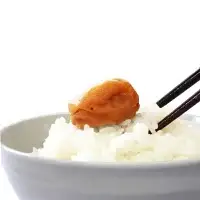 ご家庭用紀州南高梅はちみつ450g / 田辺市 紀州南高梅 南高梅 梅干し 梅干 梅 はちみつ梅 はちみつ漬け 家庭用 お家用【umy020-1】