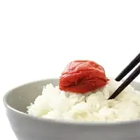 ご家庭用紀州南高梅しそ漬け450g / 田辺市 紀州南高梅 南高梅 梅干し 梅干 梅 しそ梅 しそ漬け 家庭用 お家用【umy021-1】