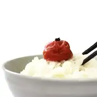 ご家庭用紀州南高梅かつお梅450g / 田辺市 紀州南高梅 南高梅 梅干し 梅干 梅 かつお梅 家庭用 お家用【umy022-1】