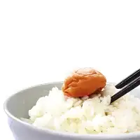 ご家庭用紀州南高梅梅そのまま450g / 田辺市 紀州南高梅 南高梅 梅干し 梅干 梅 白干し梅 昔ながらの梅干し 家庭用 お家用【umy023-1】