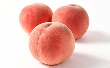 【2026年先行予約】柔らかめ白桃 約3kg（7玉～12玉）秀品 FSY-2531
