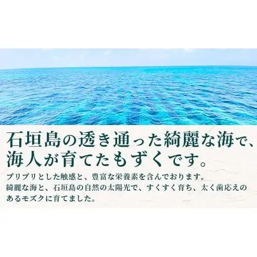 石垣島産 海人の味付け海雲 (もずく) 1.5kg (250g×6) 