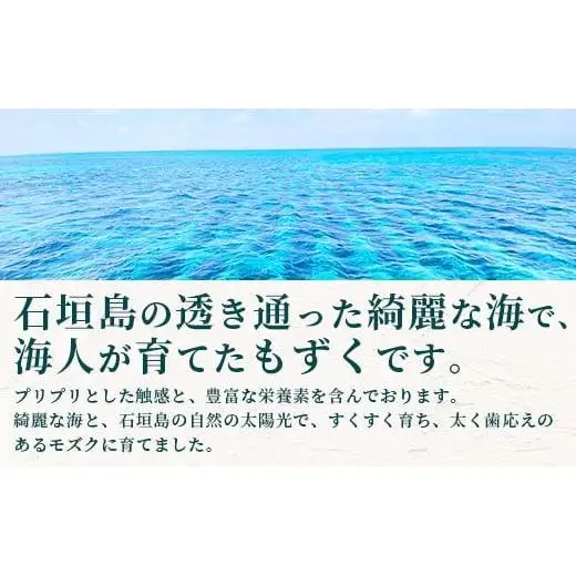 石垣島産 海人の味付け海雲(もずく) 3.5kg (250g×14) 