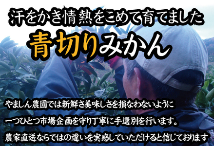  【2026年秋頃発送予約分】【農家直送】こだわりの青切りみかん 約7.5kg サイズお任せ 有機質肥料100%　※2026年9月下旬より順次発送予定（お届け日指定不可）/ミカン 蜜柑 柑橘 フルーツ くだもの 果物 【nuk107F】