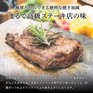 MILL,pan TYPE-Rg （研磨タイプ）極厚鉄板８mm　028FS01N.／BBQ バーベキュー アウトドア 鉄板 プレート グリルパン グリルプレート 鉄フライパン 熱の通りが均一 ステーキ キッチン用品 調理器具 キャンプ 用品