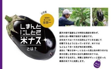 【 期間限定 】デカ！ピカ！ツル！しまんとにしとさ 米ナス 9玉（約2.7kg）国産 高知県 四万十市 しまんと 西土佐 旬 野菜 やさい 夏野菜 なす なすび 茄子 ナス 米なす 新鮮 産地直送 【2026年5月下旬～10月下旬まで発送】SMT002-0001