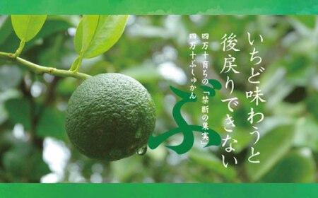 久保田食品 四万十ぶしゅかんアイスキャンデー 10本 入り 冷菓 菓子 冷凍 冷凍便 アイス アイスキャンデー スイーツ おやつ おいしい 四万十市産 ぶしゅかん 人気 おすすめ ご当地 お取り寄せ ギフト 夏ギフト お中元 お歳暮 のし対応 26-443