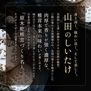 三陸山田産　原木乾椎茸「中葉厚肉」 三陸山田 山田町 野菜 きのこ きのこ名人 農林水産大臣賞 匠 YD-455