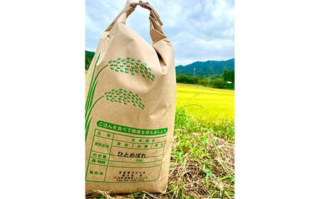 三陸山田産 ひとめぼれ 令和7年産 10kg ささきファーム 三陸山田 山田町 お米 白米 精米 農産品 農家 YD-943