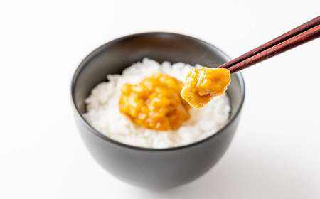 【無添加】塩うに 100g うにと塩だけで作る 菅原商店 国産 三陸山田 岩手県 山田町 三陸 旬 うに 無添加 ウニ 雲丹 うに丼 無添加ウニ キタムラサキウニ 特選 お歳暮 お中元 年末年始 YD-578