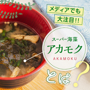 高評価★4.8 山田湾産 天然 山田プレミアム アカモク 小分け 食べきり 冷凍 30g×3個 10セット ぎばさ ギバサ ながも 海藻 無添加 食物繊維 フコキサンチン フコイダン  三陸山田 あかもく 岩手県 三陸 山田町 YD-467