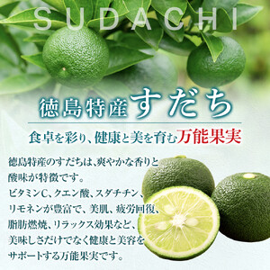 「ザ・すだち 」195ml (15缶入り×2ケース) すだち 飲料 徳島 飲み物 ジュース ご当地ジュース