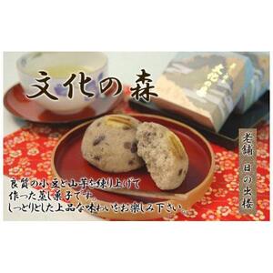 徳島銘菓 文化の森（ぶんかのもり）15個入