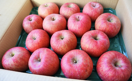 【ご自宅用】山形産サンふじりんご　約10kg(26～56玉) FZ26-746