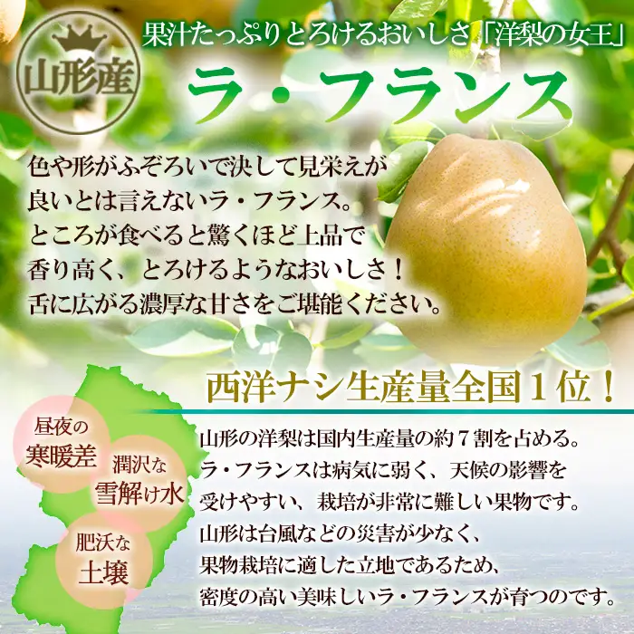 【家庭用】山形産 ラ・フランス 3kg (7～12玉)【令和8年産先行予約】FS25-771