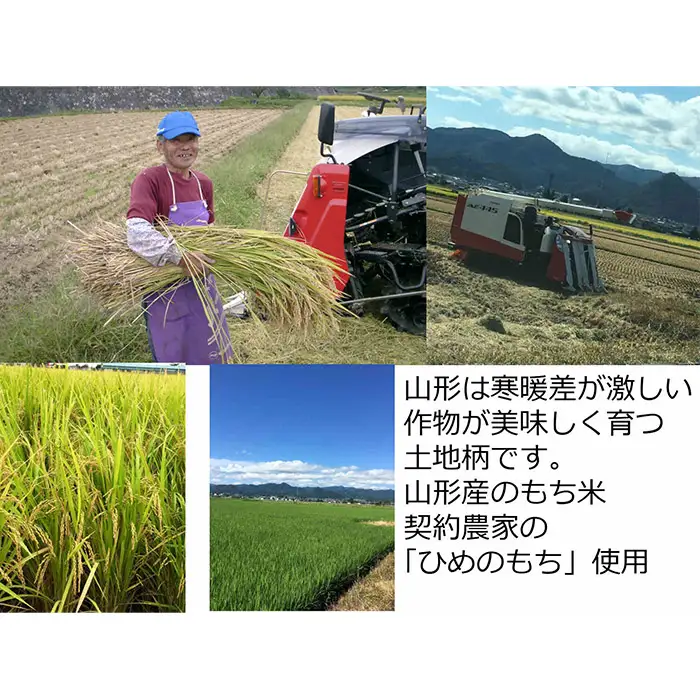 山形産ひめのもち使用！切り餅(1kg)・ずんだあん(200g)・こしあん(200g)のセット FZ23-624