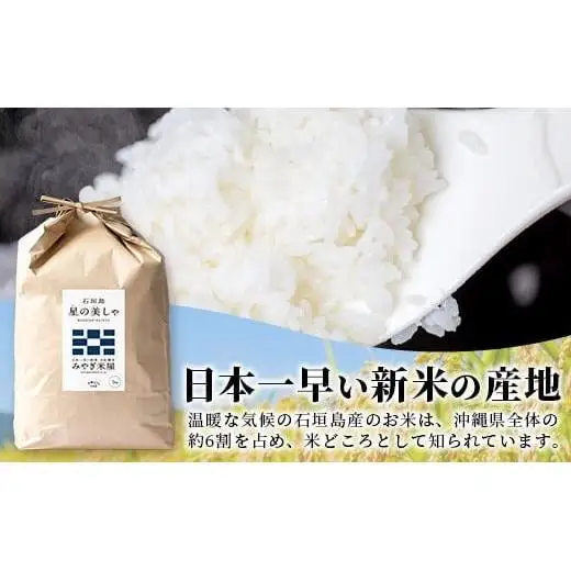 【定期便３回】３ヶ月連続お届け 石垣島産 星の美しゃ（ほしのかいしゃ）15kg（5kg×3回）MK-6