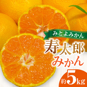 【みとよみかん】 寿太郎みかん 約5kg