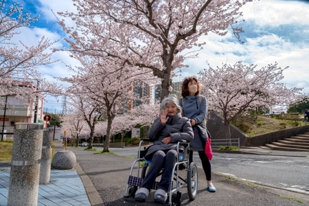 訪問見守り等支援サービス (身体介護あり) 3回コース 利用補助券｜会津若松市 お手伝い 生活支援 [0215]