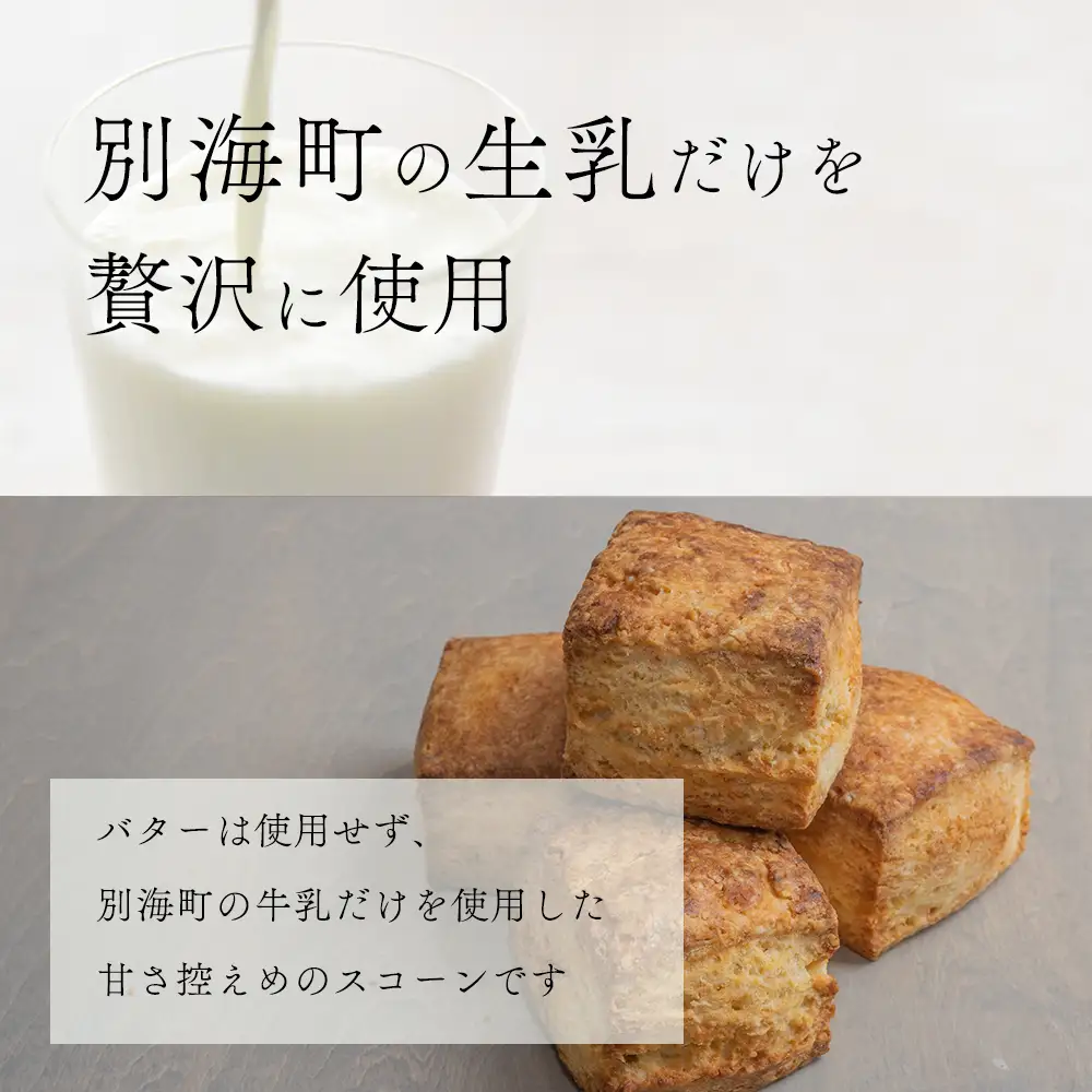 Milk Scone（プレーン1種×6個）【CJ0000239】 （ スコーン プレーン 北海道 人気 ふるさと納税 ）