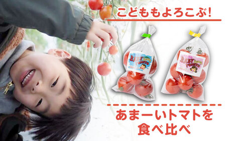 ミディアムトマト 8袋《壱岐市》【ISLAND FARM】[JFL001] とまと 野菜
