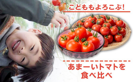 ミディアムトマト 3kg（1.5kg×2箱）《壱岐市》【ISLAND FARM】[JFL002]