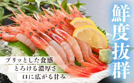 鮮度抜群！越前町産 甘えび 250g × 2Pセット 小分け パックで食べやすい！【えび エビ 海老 刺身 海鮮 海産物 魚貝類 魚介類 新鮮 冷凍 】 [e04-a098]