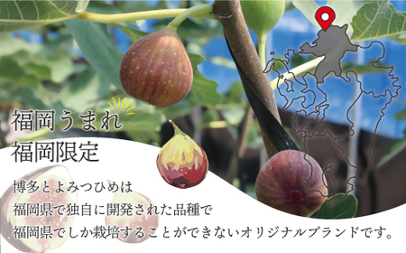 【2026年8月より順次発送】福岡県産とよみつひめ　約300g×2パック[H2298]