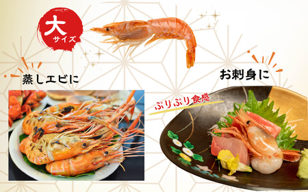 鮮度抜群！ボタンエビ 6～10尾 約300～400g 水揚げ直後に発送 新鮮 大きい 鮮やか 日本海直送 生 刺身 ぼたん海老 魚正 糸魚川 