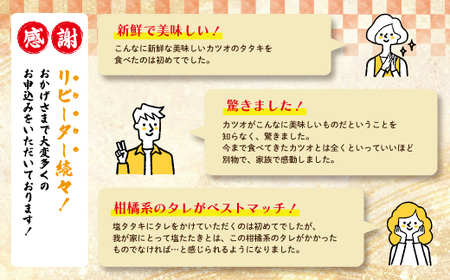 26-538．中村でしか食べられない中村伝統の味「カツオの塩タタキセット」