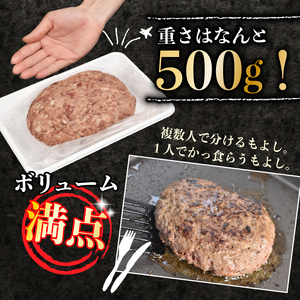 超粗挽きハンバーグ 500g×2 計1kg 沼津 ハンバーグ