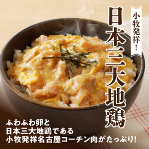 名古屋コーチン親子丼　日本三大地鶏[003D10]コーチン親子丼 地鶏親子丼 簡単親子丼 ふわふわ親子丼