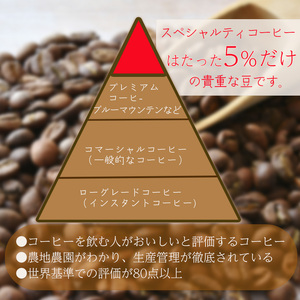 【スペシャルティコーヒー】マスターこだわりセレクト 5種ドリップコーヒー 15袋セット | コーヒー コーヒー コーヒー コーヒー コーヒー コーヒー 【KYW0011】