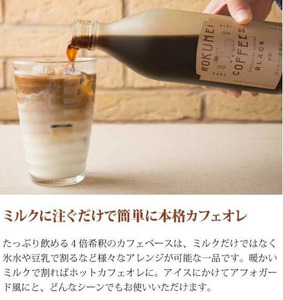 ギフト ロクメイコーヒー カフェベース 2本 スペシャルティコーヒー ミルクを注ぐと本格カフェオレ H-100