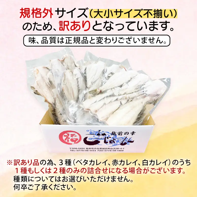 【訳あり】国産干物 2kg 越前町産カレイ 一夜干し 無添加 15尾以上【無添加 産地直送 冷凍 小分け 海鮮】 [e15-a021]