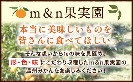 【先行予約】早生みかん(田口早生) 約5kg《2026年11月中旬～12月末頃より出荷予定(土日祝除く)》ｍ＆ｎ果実園 和歌山県 紀の川市 送料無料 蜜柑 柑橘 果物 フルーツ 温州みかん 早生みかん 田口早生