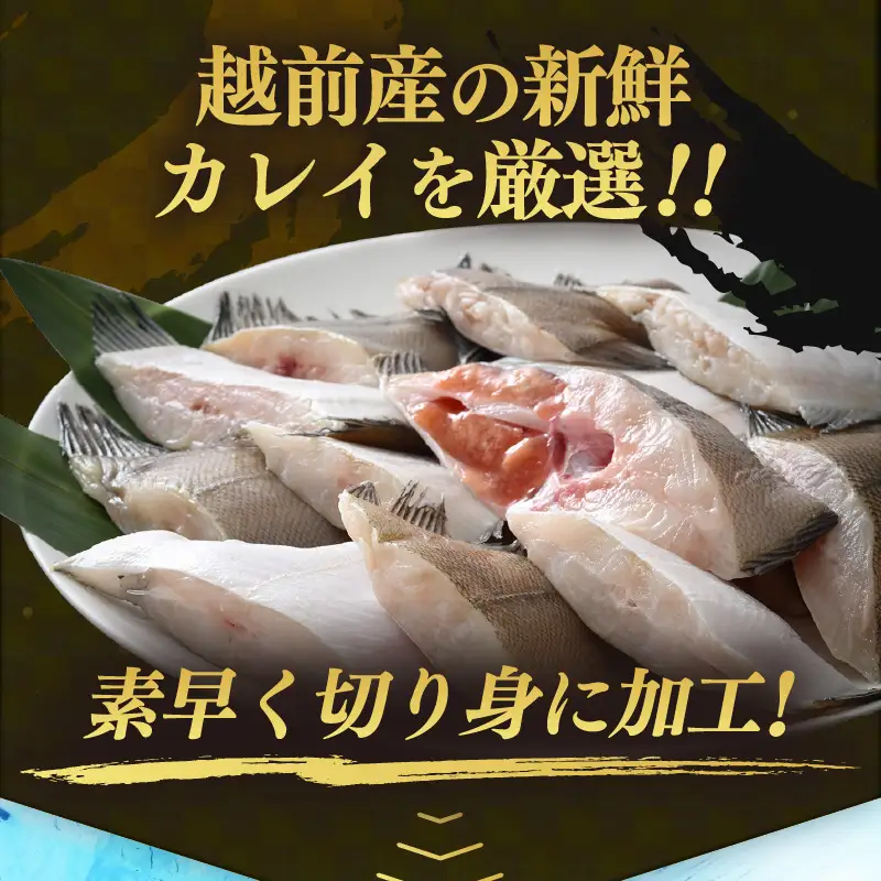  越前産 カレイ 切り身 合計1kg 煮付け 肉厚な切り身かれい （無塩）【 魚 煮魚 切身 魚の切り身 煮付け 】 [e15-a057]