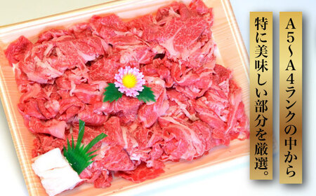 【全6回定期便】【化粧箱入】博多和牛A5‐A4 切り落とし 500g [ABCJ112] 