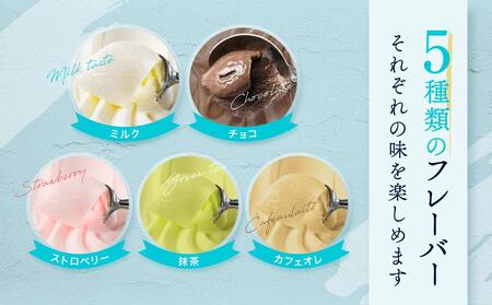 直営牧場搾りたてミルクで作るジェラート（５種 計10個）〈小野ファーム〉 ABN0001