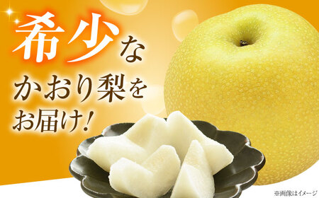 上岡果樹園のかおり梨 4-6玉入り BKAD056