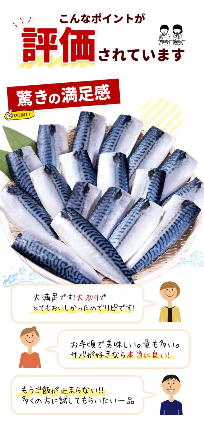 訳あり 塩サバ 3kg 西川 サバ 【配送不可地域：離島】