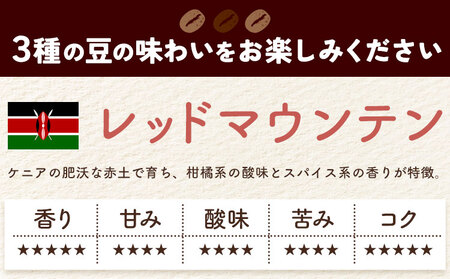 自家焙煎スペシャルティ 珈琲 ドリップバッグ 3種 セット 1箱:ドリップバッグ5個入り AyaHaruCoffee《90日以内に出荷予定(土日祝除く)》【配送不可地域：離島】|ドリップコーヒー ドリップコーヒー ドリップコーヒー