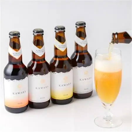 4種のビールとモッツァレラセット_卵・乳製品 チーズ    酒・アルコール 地ビール ビール _【配送不可地域：離島】【1340791】